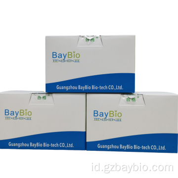 Ekstraksi magnetik baypure agarosa gel DNA pemulihan kit